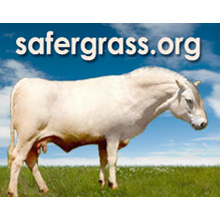 SaferGrass.org logo