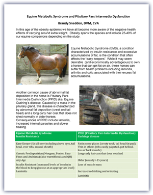 Equine Cushings Disease vs. Insuling Resistance